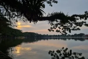 pulau gajah