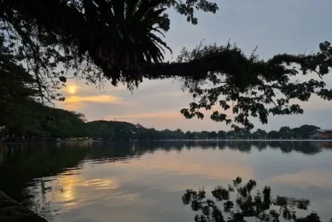 pulau gajah