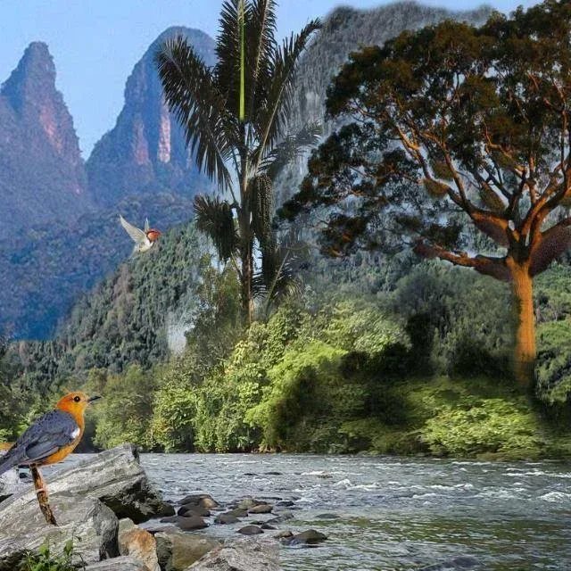 pulau kupang 2