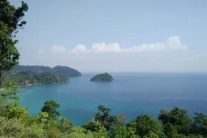 pulau nasi