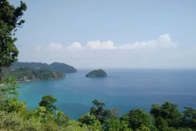 pulau nasi