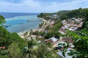 pulau run