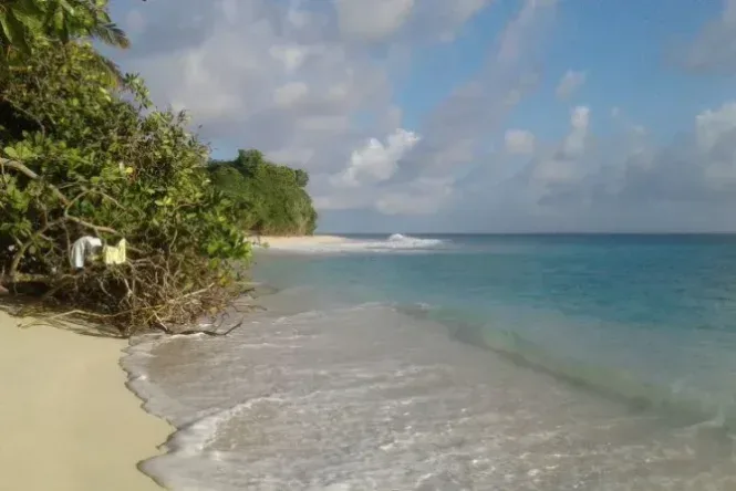 pulau deli