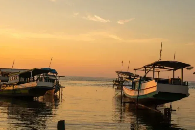 pulau nyamuk