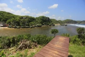 pulau drini