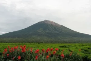 pulau kerinci