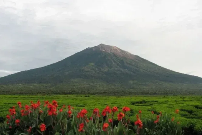 pulau kerinci
