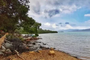 pulau matak