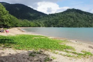pulau datok