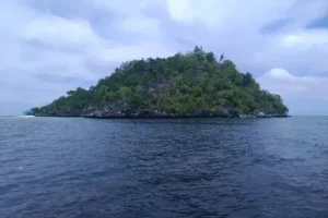 pulau hari