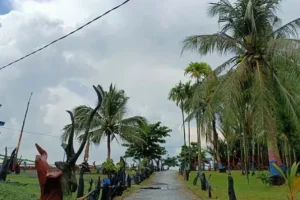 pulau jambu