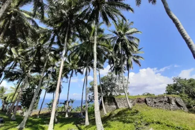 pulau makian
