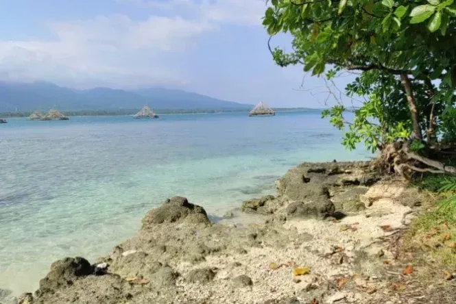 pulau mangir