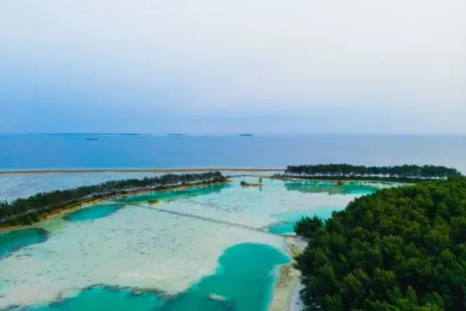 pulau payung besar