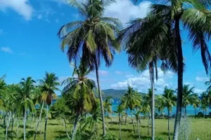 pulau bonerate
