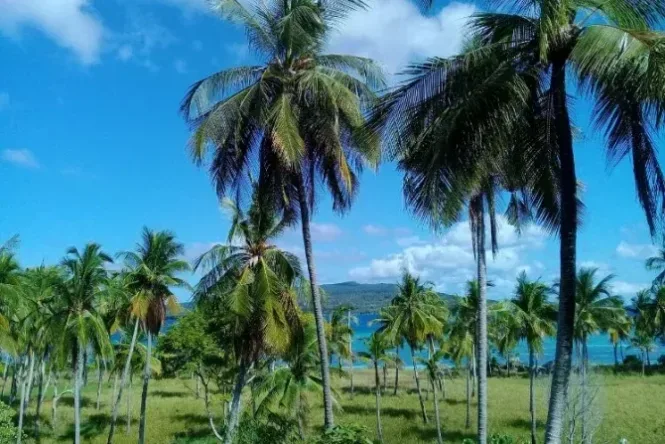 pulau bonerate