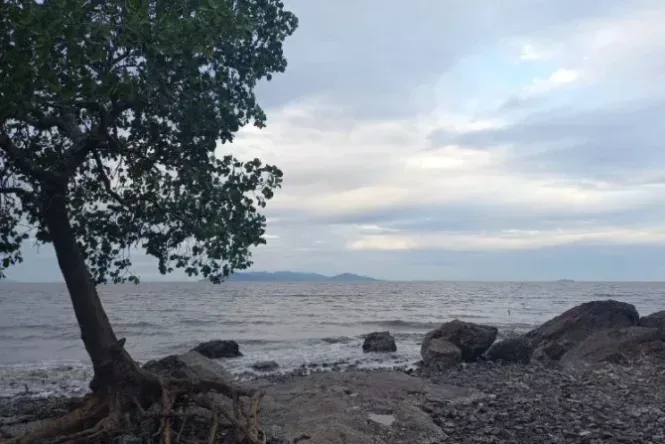 pulau maya
