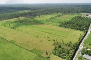 pulau mendol
