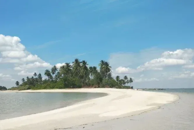 pulau nanas